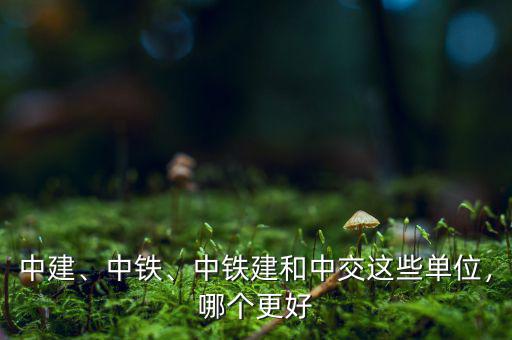 中建、中鐵、中鐵建和中交這些單位，哪個更好