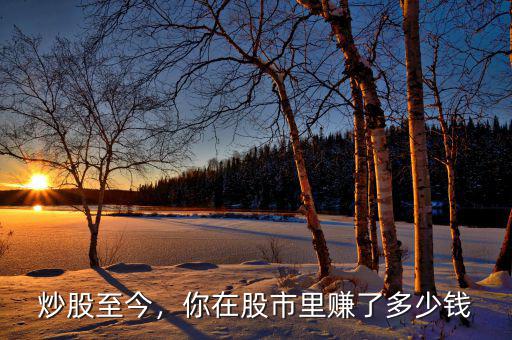 炒股至今，你在股市里賺了多少錢
