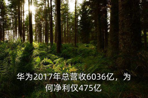 華為2017年總營收6036億，為何凈利僅475億