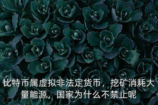 比特幣屬虛擬非法定貨幣，挖礦消耗大量能源，國家為什么不禁止呢