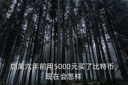 如果六年前用5000元買了比特幣，現(xiàn)在會(huì)怎樣