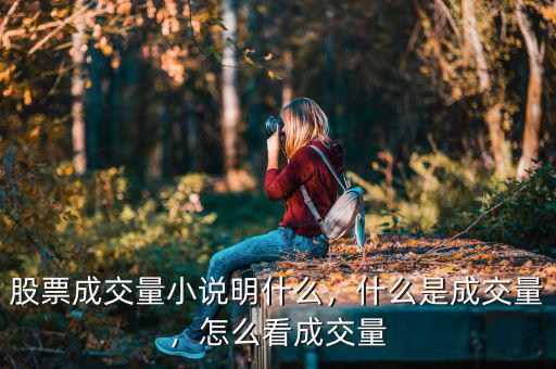 股票成交量小說明什么，什么是成交量，怎么看成交量
