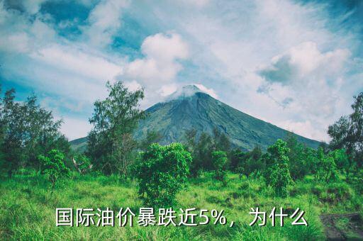 國際油價暴跌近5%，為什么