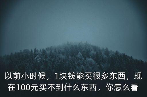 以前小時候，1塊錢能買很多東西，現(xiàn)在100元買不到什么東西，你怎么看