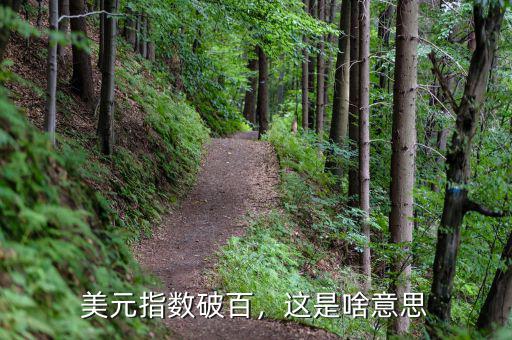 美元指數(shù)破百，這是啥意思