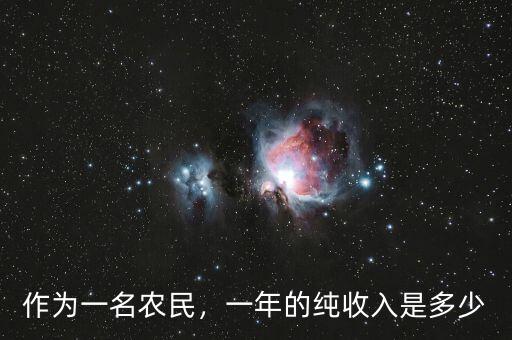 作為一名農(nóng)民，一年的純收入是多少