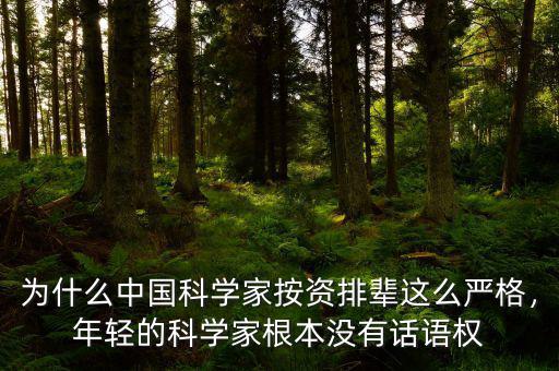 為什么中國科學家按資排輩這么嚴格，年輕的科學家根本沒有話語權(quán)