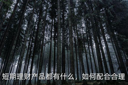 短期理財產(chǎn)品都有什么，如何配合合理
