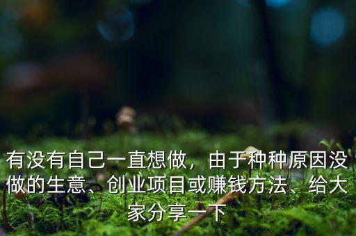 有沒有自己一直想做，由于種種原因沒做的生意、創(chuàng)業(yè)項目或賺錢方法、給大家分享一下