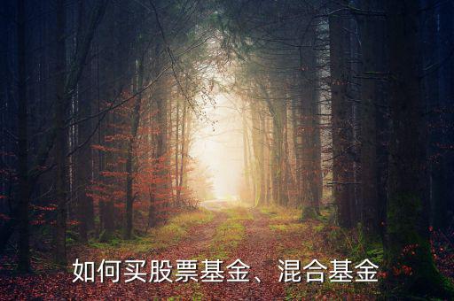 如何買股票基金、混合基金