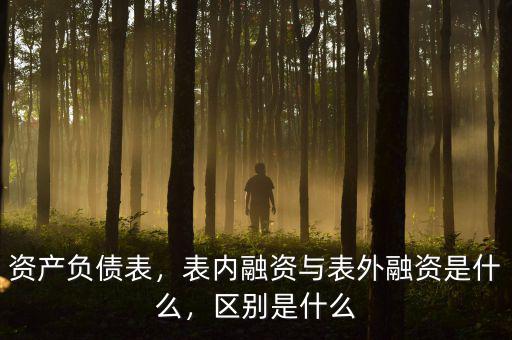 資產(chǎn)負(fù)債表，表內(nèi)融資與表外融資是什么，區(qū)別是什么