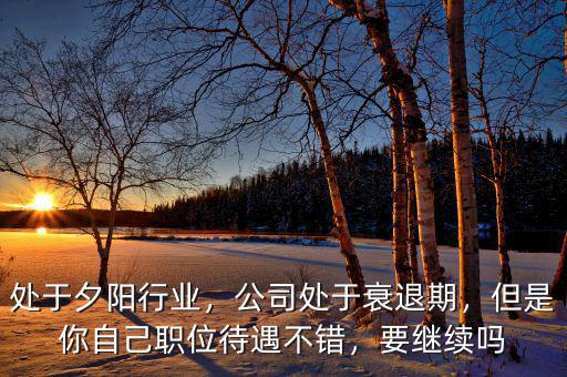 處于夕陽行業(yè)，公司處于衰退期，但是你自己職位待遇不錯，要繼續(xù)嗎