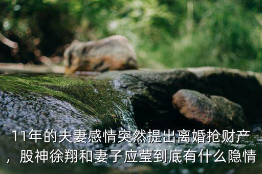 11年的夫妻感情突然提出離婚搶財產(chǎn)，股神徐翔和妻子應瑩到底有什么隱情