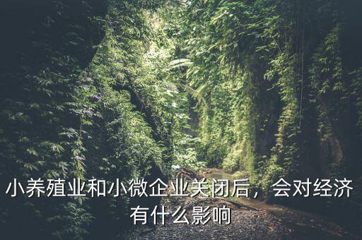 小養(yǎng)殖業(yè)和小微企業(yè)關(guān)閉后，會對經(jīng)濟(jì)有什么影響