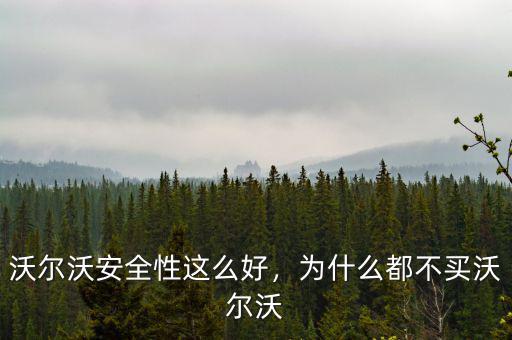 沃爾沃安全性這么好，為什么都不買(mǎi)沃爾沃