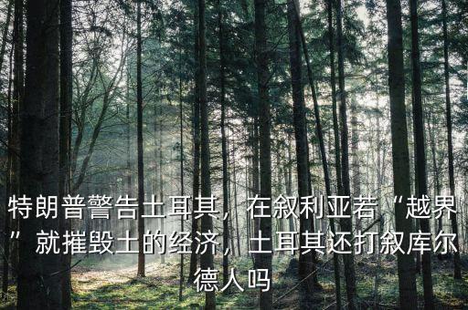 特朗普警告土耳其，在敘利亞若“越界”就摧毀土的經濟，土耳其還打敘庫爾德人嗎