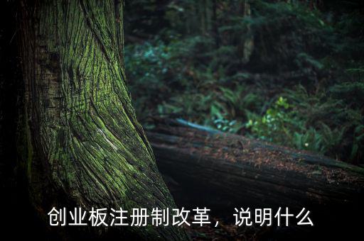 創(chuàng)業(yè)板注冊(cè)制改革，說明什么