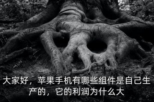 大家好，蘋果手機(jī)有哪些組件是自己生產(chǎn)的，它的利潤(rùn)為什么大