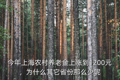 今年上海農(nóng)村養(yǎng)老金上漲到1200元，為什么其它省份那么少呢