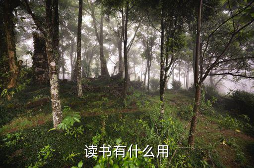 讀經濟有什么用,讀書有什么用