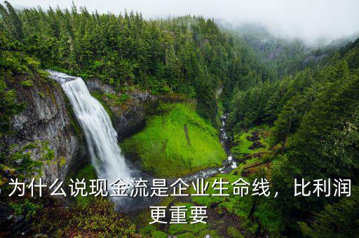 為什么說現(xiàn)金流是企業(yè)生命線，比利潤(rùn)更重要