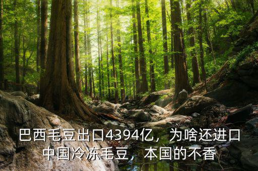 巴西毛豆出口4394億，為啥還進口中國冷凍毛豆，本國的不香