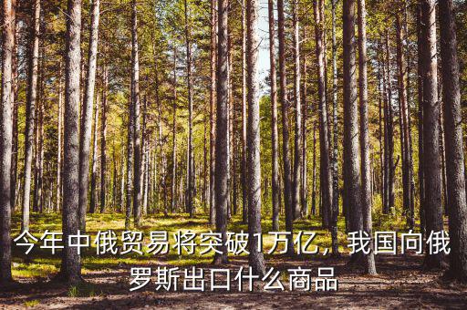 今年中俄貿(mào)易將突破1萬(wàn)億，我國(guó)向俄羅斯出口什么商品
