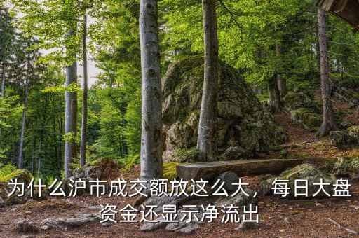 為什么滬市成交額放這么大，每日大盤資金還顯示凈流出