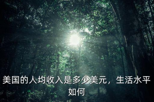 美國的人均收入是多少美元，生活水平如何