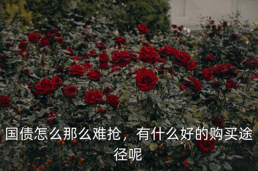 國債怎么那么難搶，有什么好的購買途徑呢