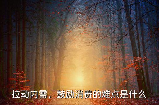 拿什么擴大內需,如何擴大內需