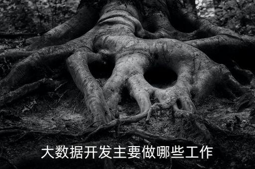 大數據開發(fā)主要做哪些工作