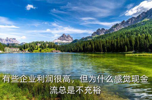 有些企業(yè)利潤(rùn)很高，但為什么感覺現(xiàn)金流總是不充裕