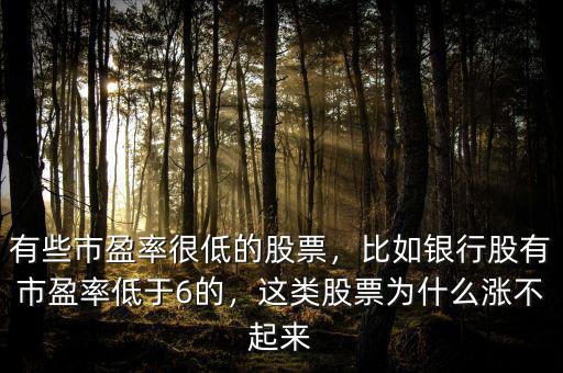 有些市盈率很低的股票，比如銀行股有市盈率低于6的，這類股票為什么漲不起來