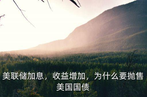 美聯(lián)儲加息，收益增加，為什么要拋售美國國債