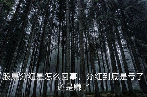 股票分紅是怎么回事，分紅到底是虧了還是賺了