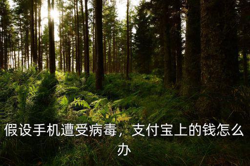 假設手機遭受病毒，支付寶上的錢怎么辦