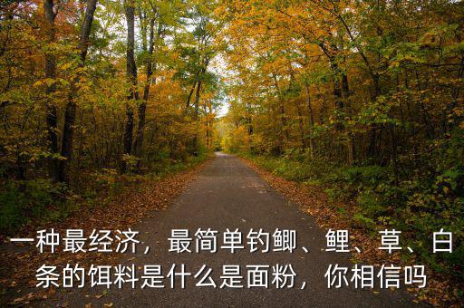 一種最經(jīng)濟，最簡單釣鯽、鯉、草、白條的餌料是什么是面粉，你相信嗎