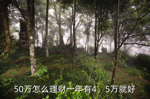 50萬怎么理財(cái)一年有4、5萬就好