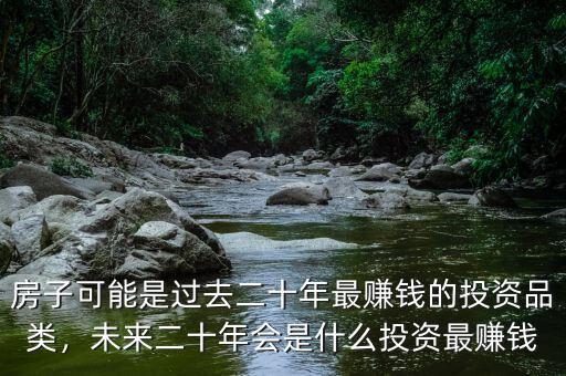 房子可能是過去二十年最賺錢的投資品類，未來二十年會是什么投資最賺錢