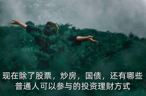 現(xiàn)在除了股票，炒房，國債，還有哪些普通人可以參與的投資理財(cái)方式