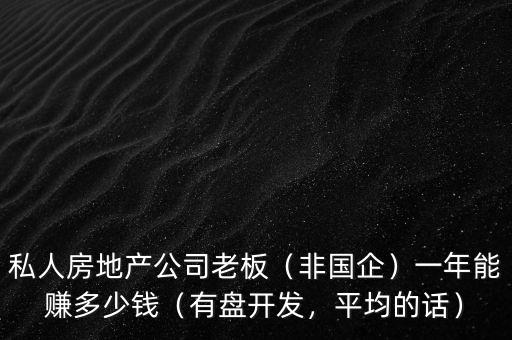 私人房地產(chǎn)公司老板（非國企）一年能賺多少錢（有盤開發(fā)，平均的話）