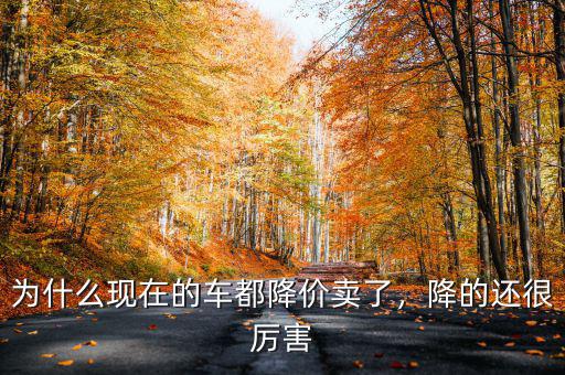 為什么現(xiàn)在的車都降價(jià)賣了，降的還很厲害