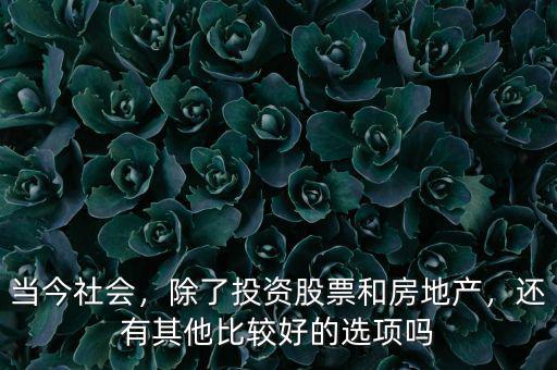 當(dāng)今社會(huì)，除了投資股票和房地產(chǎn)，還有其他比較好的選項(xiàng)嗎