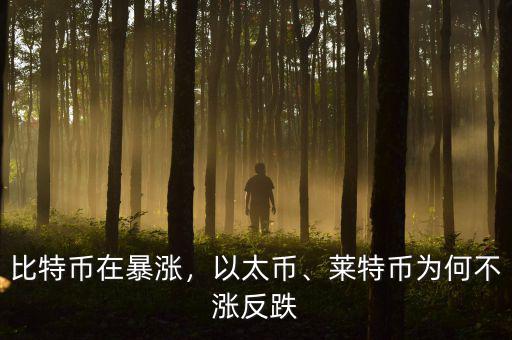 比特幣在暴漲，以太幣、萊特幣為何不漲反跌
