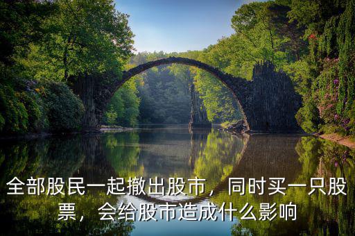 全部股民一起撤出股市，同時買一只股票，會給股市造成什么影響