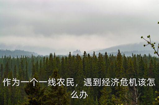 作為一個(gè)一線農(nóng)民，遇到經(jīng)濟(jì)危機(jī)該怎么辦
