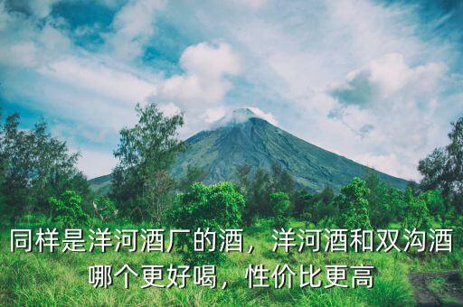 同樣是洋河酒廠的酒，洋河酒和雙溝酒哪個(gè)更好喝，性價(jià)比更高