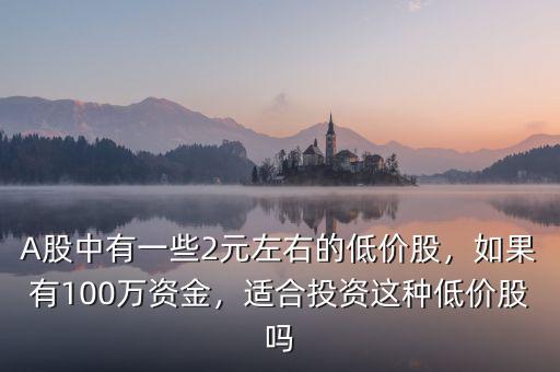 A股中有一些2元左右的低價(jià)股，如果有100萬(wàn)資金，適合投資這種低價(jià)股嗎