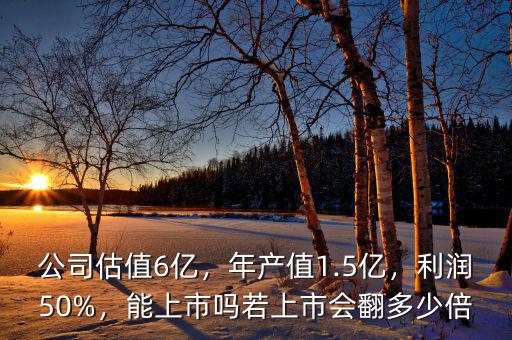 公司估值6億，年產(chǎn)值1.5億，利潤(rùn)50%，能上市嗎若上市會(huì)翻多少倍